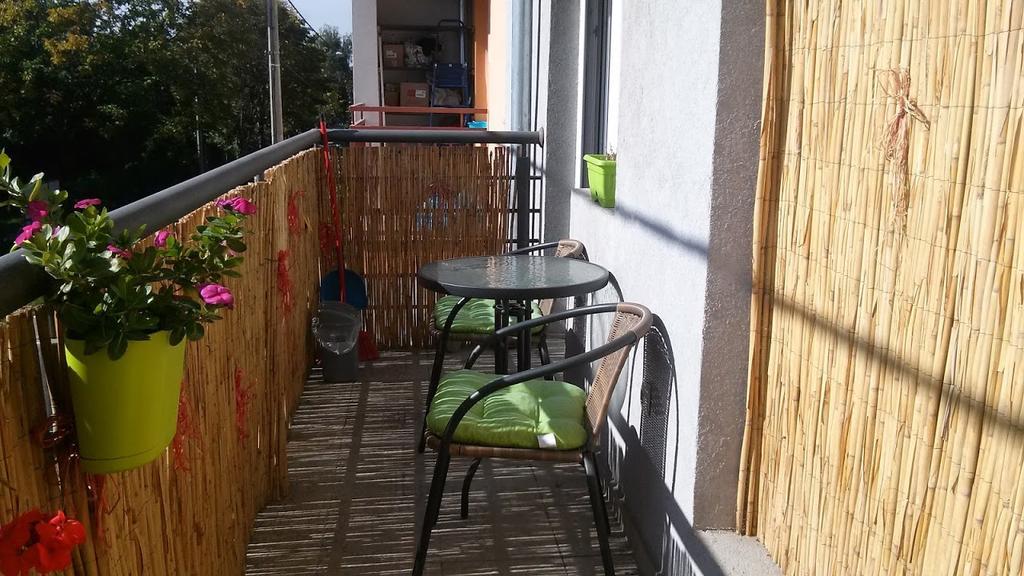 Apartman Tatjana Novi Sad Exteriér fotografie