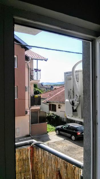 Apartman Tatjana Novi Sad Exteriér fotografie