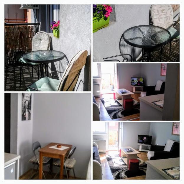 Apartman Tatjana Novi Sad Exteriér fotografie